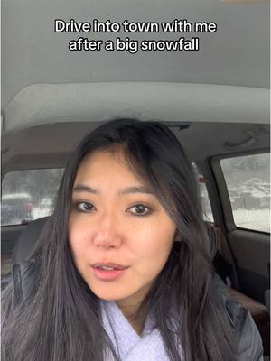 A post by @sakura.kishiro on TikTok caption: Had the prettiest views while driving ❄️ #drivewithme #snowedin #mitsubishi #mitsubishidelica #4x4 #dayinmylife #fyp 