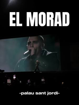 A post by @jellyfamsito on TikTok caption: mi pequeño resumen del pedazo de concierto del morad! ROMPISTE 🤩🙌🏽 #morad #fyp 