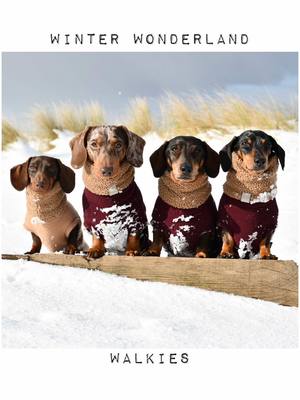 A post by @the_daxie_trouble on TikTok caption: Are we going to get snow this year? We sure hope so because we love it ☃️❄️🌨️ #snow #snowday #dachshund 