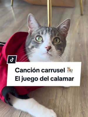 A post by @sakurakittens on TikTok caption: Mi versión en español 🎠✨ #eljuegodelcalamar 