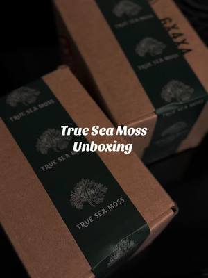 A post by @miakennedyxeade on TikTok caption: Ready to start my sea moss journey 🙌🏼 @True Sea Moss Health #seamoss #trueseamoss #guthealth 