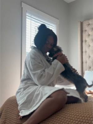 A post by @sarabeliving on TikTok caption: Help me take care of my animals.. bella noche , alley & AJ