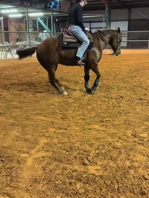 A post by @txjackk on TikTok caption: Loving this life #foryou #foryoupage #fyp #reininghorses #reining #viral #viralvideo 