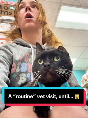 A post by @one_eared_uno on TikTok caption: Well at least he’s not loosing another ear 😅 w/ @Kat Curtis ​⁠#cats #blackcats #funnycats #oops 