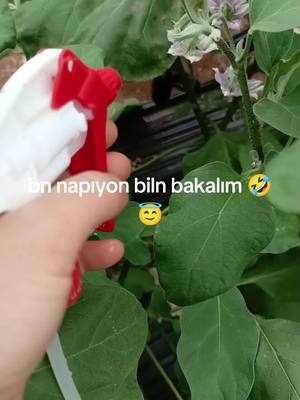 A post by @sevimdenizli3 on TikTok