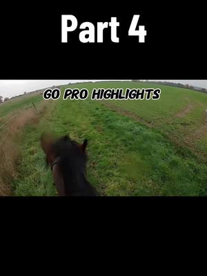 A post by @whizzywackywelsh on TikTok caption: Part 4- more go pro highlights.  Let me know if you like these type of videos & I’ll dig out some more 🕵🏼‍♀️  #whizzywackywelsh #equestrian #pony #gopro 