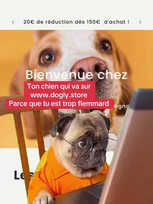 A post by @learnfrench05 on TikTok caption: Plein d’articles pour vos animaux  disponible sur www.dogly.store @Dogly #chien ##dogly##laisse##doublelaisse##utile##LifeHack##tutorial #amazonmusthave #amazonpet #amazonpetproducts #amazonpetmusthaves #amazondogfinds #amazondog #amazonbestseller #amazondogmusthave #dogbarking #viralamazonproducts #dogmomstruggles #dogsofttiktok #pethack #doghack