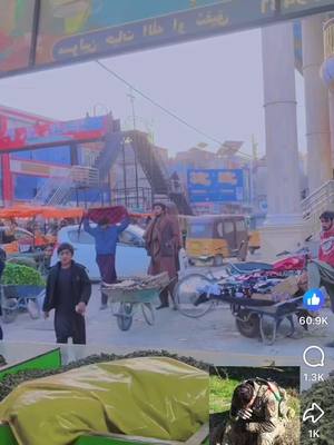 A post by @bashirkhan197 on TikTok