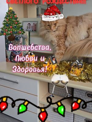 A post by @pelzigertiktokersam on TikTok caption: #срождеством#маинкун #katze 