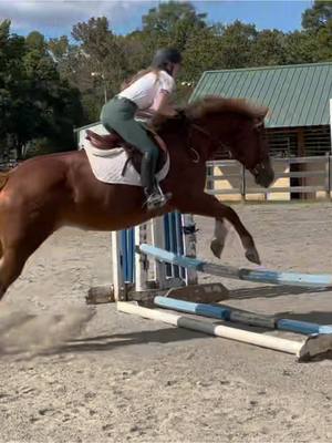 A post by @horseyy1 on TikTok caption: when you see the perfect stride🫣   totally my fault, not hers (ngl she saved me here🤧)