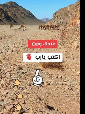 A post by @muhammad.aljaafar5 on TikTok caption: #يارب🤲 #قران_كريم #الحمدلله_دائماً_وابداً #اكتب_شي_توجر_عليه 