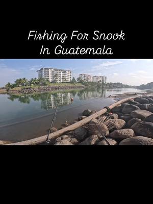 A post by @fishingfins on TikTok caption: Fishing for Snook in Guatemala. Video filmed on our @GoPro.  #fishingfins #fishing #fishinglife #fishingaddict #fishon #fishingtrip #fishingdaily #fishingboat #sea #sealife #ocean #oceanlife #guatemala #fyp #angler #fisherman #pescadeportiva #pesca #Outdoors #nature