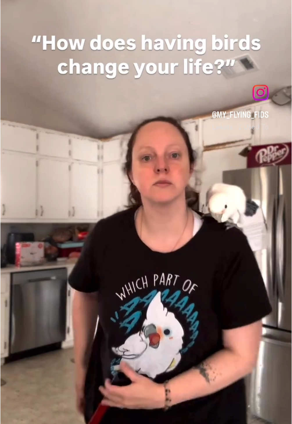 A post by @my_flying_fids on TikTok caption: And we shut it all down by 9pm