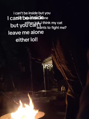 A post by @thomasemanuel80 on TikTok caption: #someonecomegetme #mycatsbeentrynafightme #heslosthismind ##laughsalot #creatorsearchinsights 