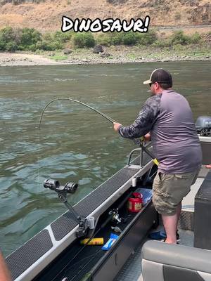 A post by @northwestern.outdoors on TikTok caption: How old would you guess this beast was? #sturgeon #fishing #bigfish 