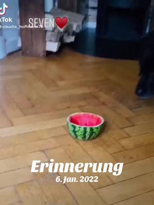 A post by @tintenkiller.art on TikTok caption: #erinnerung 