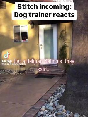 A post by @good_woofer_k9 on TikTok caption: Just saying…. A kennel solves this problem! 