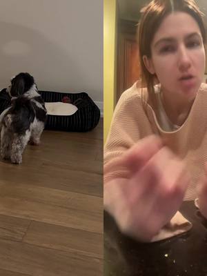 A post by @dexandbaileysmom on TikTok caption: #duet with @ivana 🪩💕 #lambchop #obsessed