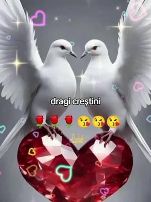 A post by @www.tiktokgeanina71 on TikTok caption: #accadeoggi 