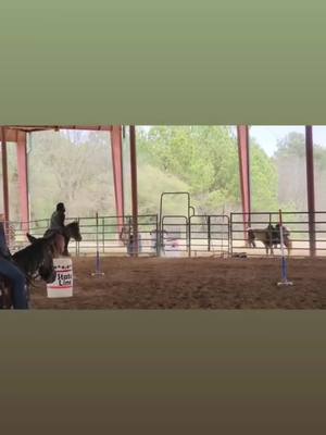 A post by @international_sensei on TikTok caption: #horsesoftiktok #western #travel 