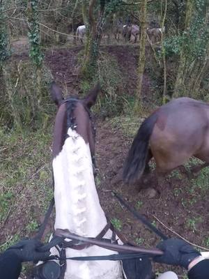 A post by @jess.fenwick on TikTok caption: ONE of the chaotic moments last Jan when we visited Ireland 🤣 @RM @Lisa🤍 @Sinead @Chloe o brien😘  #equestrian #hunting #foxhunting #trailhunting #ireland 