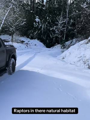 A post by @davidcuddy on TikTok caption: Never let snow stop a human from going to work again. All you need is a petrol Ford Ranger raptor . #snowday #fordrangerraptor2023 #davidcuddy #makingbigbank #ireland #irishlogger #thewoodfromthetreespodcast #cut2lenghtlogging