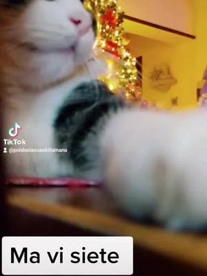 A post by @poldoelasuaskifumana on TikTok