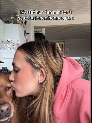 A post by @sofieferrarese on TikTok caption: Vi fortjener ikke hunder og deres gode hjerter❤️🥹 #foryou #sofieferrarese #norsktiktok #dogtok #bestevennenmin 