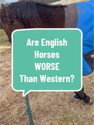 A post by @zanzancancan on TikTok caption: I hate this discourse, truly. It’s not a discipline issue, it’s a person.  - - Tags: - #equestrian #showjumper #showjumping #englishriding #westernriding #rodeo #aqha #hunterjumper #horsetrainer #horsebreeder 