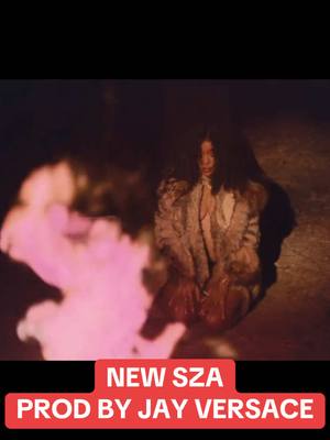 A post by @jayversay on TikTok caption: new sza prod by me #sza #jayversace #soul #producer #music #sos #lana 