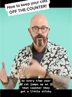 A post by @jacksongalaxy on TikTok caption: Want to keep your cats off the counter? #cats #catbehavior #catlovers #catsoftiktok #jacksongalaxy 