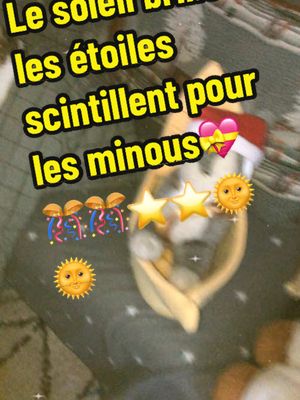 A post by @skynnyanny2 on TikTok caption: Je soleil 🌞 brille ´les étoiles ⭐️ scintillent  pour les minous 🐈‍⬛ 🎊🎊💝💝@Poupoune #for #chat #catlover  