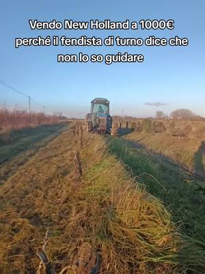 A post by @zambo_farm on TikTok caption: Dai su ho fatto il video mentre guidava il papino così mi sono abbassato ai tuoi livelli (mai più troppo noioso) #fy #fypage #fyp #voliamoneiperte #viral #follow 