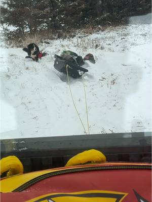 A post by @tornadofarmer on TikTok caption: Fun in the snow.  With pepper #tornadofarmer #sledding #winter #bernesemountaindog #fun 