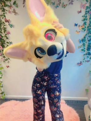 A post by @kikichaoscreations on TikTok caption: Layla corgi WIP!! So hyped with how this is coming out! #furry #fursuit #fursuitmaker #fursuiter #furryfandom 