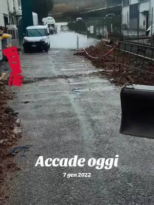 A post by @toritori06 on TikTok caption: #accadeoggi