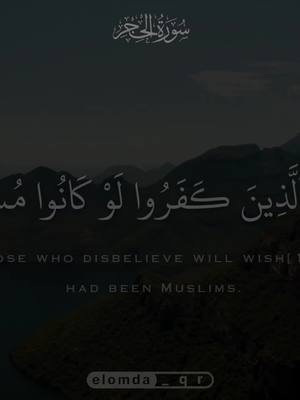 A post by @elomda_qr on TikTok caption: ربما يود الذين كفوا  لو كانوا مسلمين. #المنشاوى #elomda_qr #قرآن 