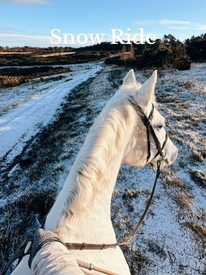 A post by @this_esme on TikTok caption: Have you ridden on snow?❄️ #equestrian #snow #uksnow #snowuk #horsetok #horses #horse #pony #rider #riding #galloping #gallop #thisesme #equestriangirl #eq #equitation 