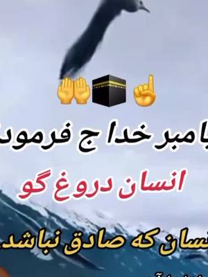 A post by @parwenrahmati on TikTok caption: #onthisday #foruyou #افغانستان🇦🇫🇦🇫🇦🇫 #ازبیک_تاجیک_و_هزاره_پشتون_ما_همه #fy #افغانی_تیک_تاک #CapCut #viral #افغانستان #ازبیک_هزاره_تاجیک_پشتون_ترکمن🤝 