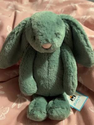 A post by @forgivemelittlesister on TikTok caption: Almut watched wicked #wicked  #fyp #jellycat 