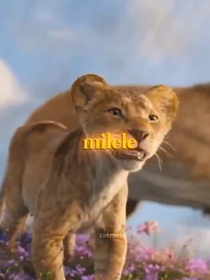 A post by @catraeh on TikTok caption: I loved this film idk about you, the songs SLAP. Sorry this isn’t shera😭 #disney #mufusa #lionking #lionkingmufasa #lionking #mufusalionking #fyp #fypp #fyppp #viral @Disney