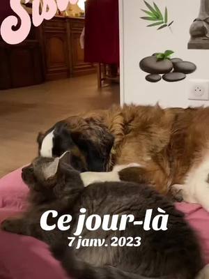 A post by @nathalieherbomel on TikTok caption: #cejour-là 