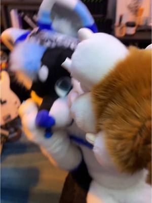 A post by @miles_saber on TikTok caption: That one fursuiter at cons- 🤢 jk @Reverb Husky ILY  . . Our suits were made by Multicolorbark and Lemonbrat! #furryfandom #furrytiktok #asexualfurry #multicolorbark #lemonbrat #furry 