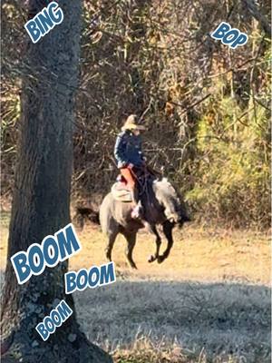 A post by @ahstew227 on TikTok caption: For the first time ever, Odie decided to show his pitiful version of the classic “Hancock break in half” 😭 #fyp#foryoupage#foryou#horse#horses#aqha#hancockhorses#hancock#blueroan#equestrian#western#horsegirl#fail#funny#westernhorse#quarterhorse 