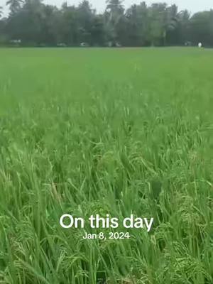 A post by @priya0778 on TikTok caption: #onthisday 