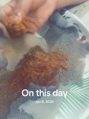 A post by @mysu26 on TikTok caption: #onthisday 