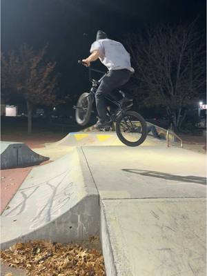 A post by @ross_torigian on TikTok caption: I don’t ride #bmx #park 