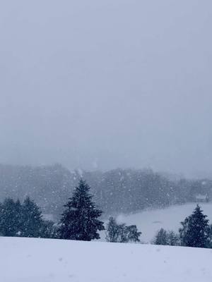 A post by @scotland on TikTok caption: A snowy morning in the Scottish Highlands 🥶❄️ #Scotland #ScottishHighlands #Snow #Winter