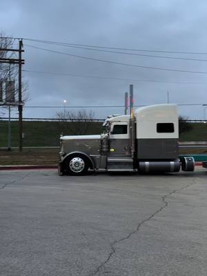 A post by @texasbigrigs on TikTok caption: @Richie Foster #peterbilt389 #largecar #bigrig 