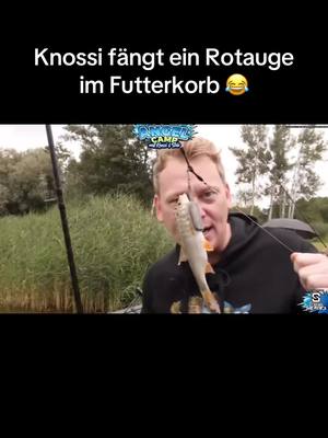 A post by @rico_fishing on TikTok caption: #angelcamp2 #Knossi #fisch #Rotauge #Futterkorb  Quelle:YT MIT SIDO